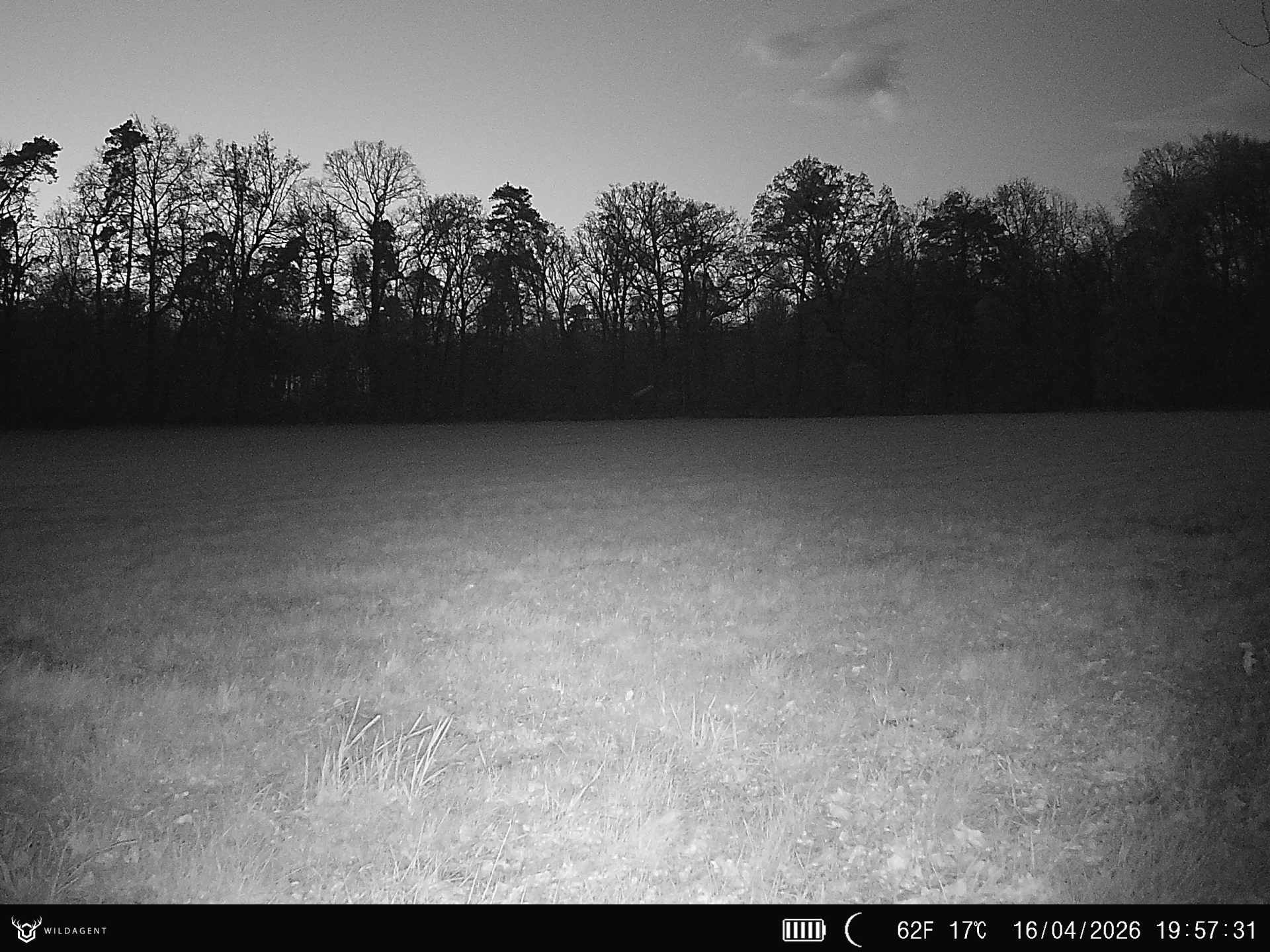 Wildtier 16.04.2026 19:57