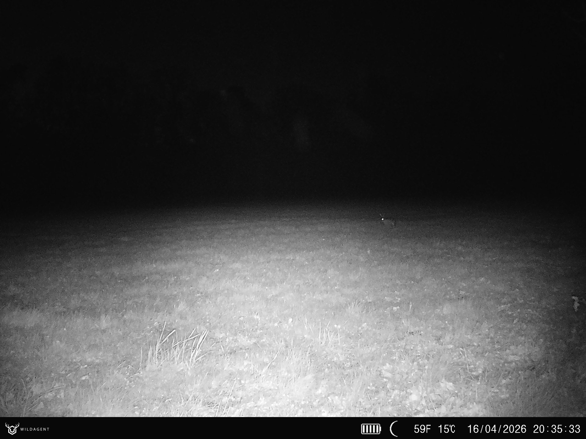 Wildtier 16.04.2026 20:35