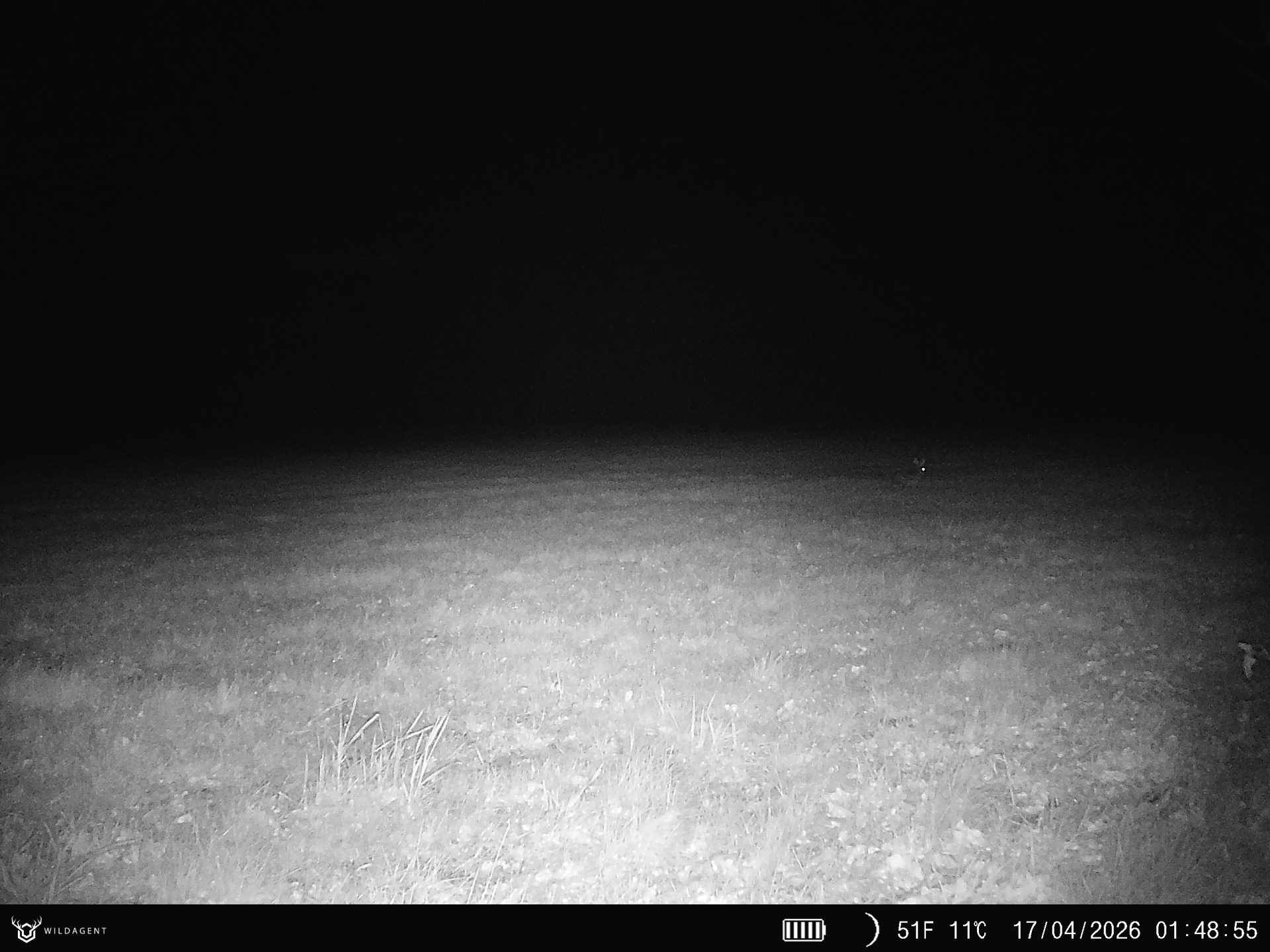 Wildtier 17.04.2026 01:48