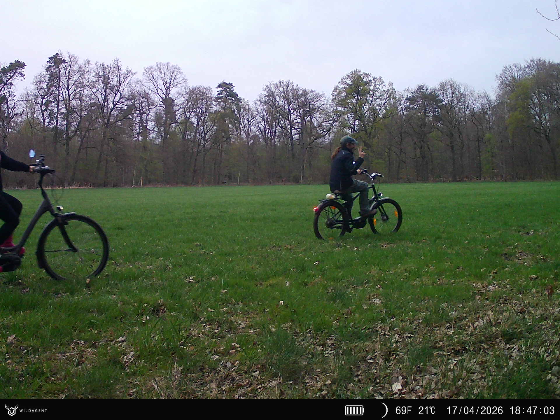 Wildtier 17.04.2026 18:47