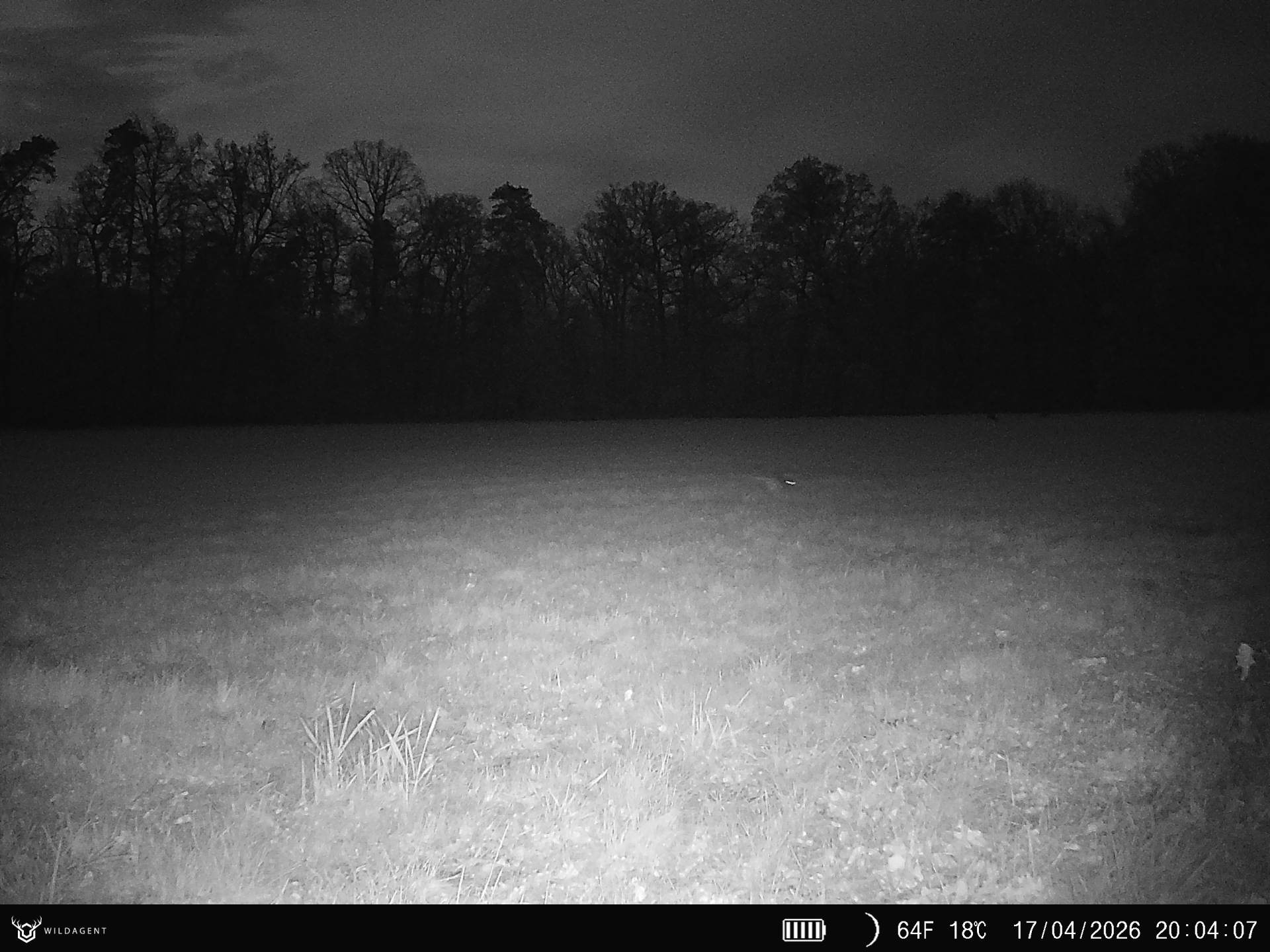 Wildtier 17.04.2026 20:04