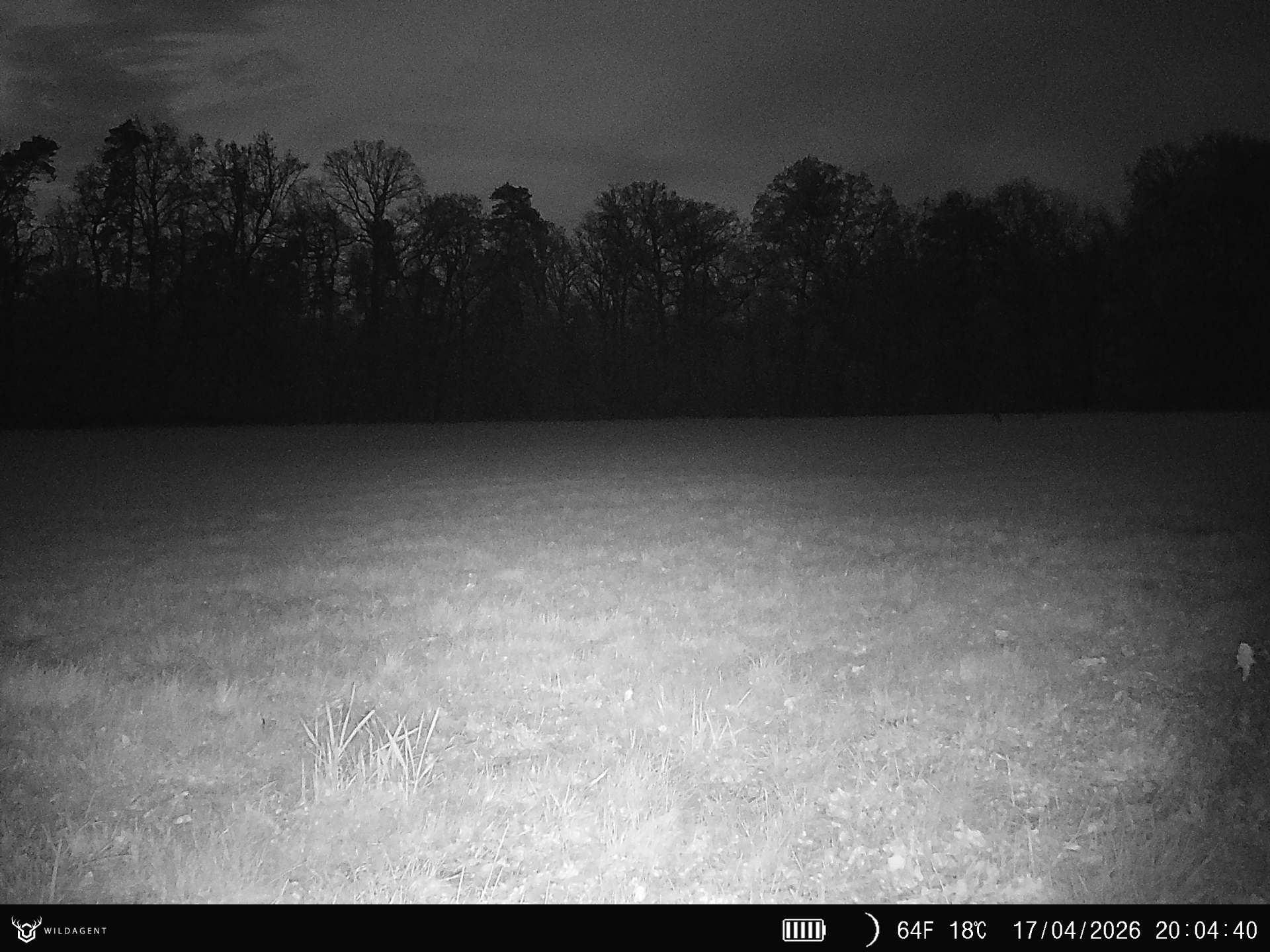 Wildtier 17.04.2026 20:04