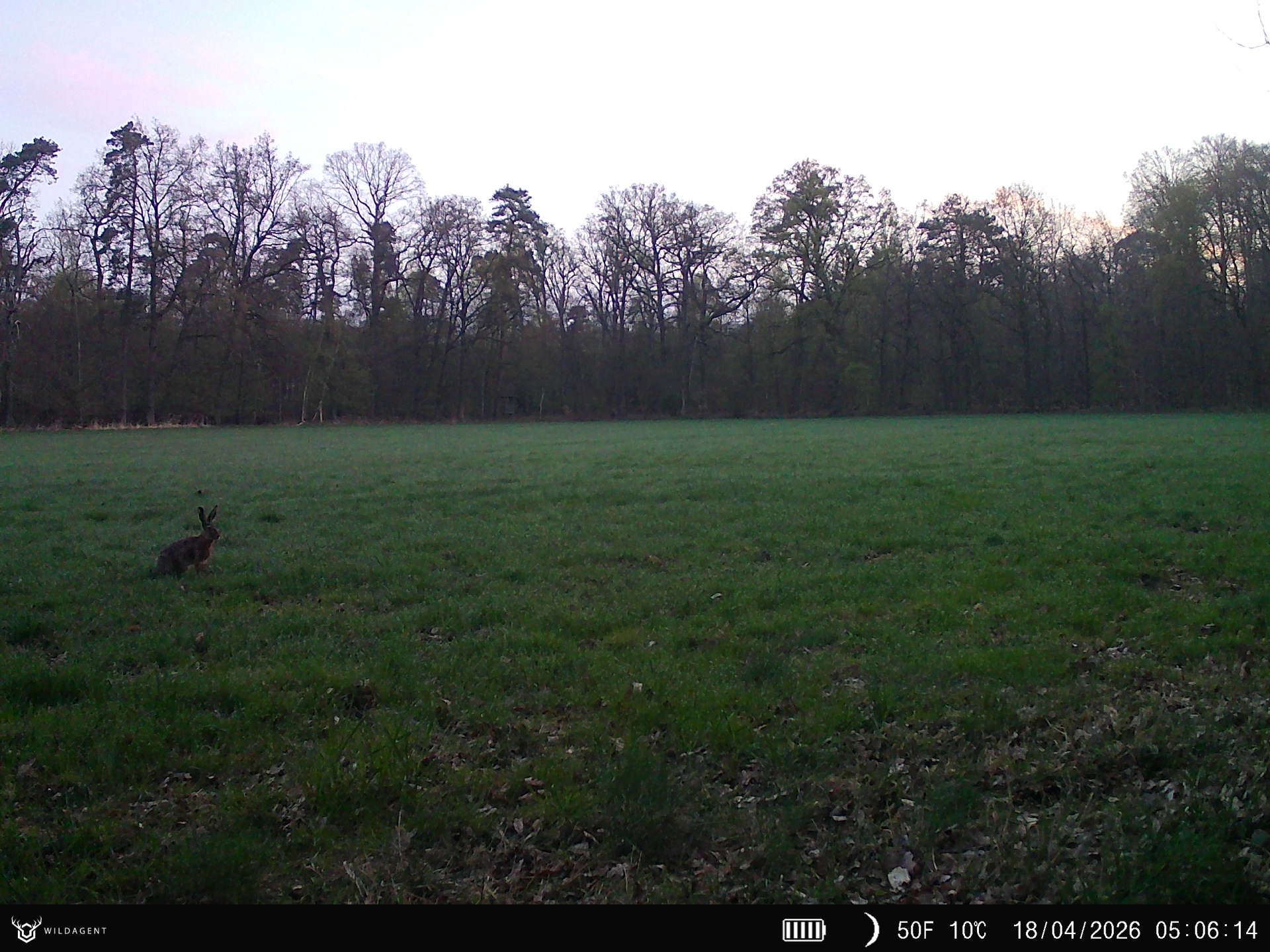 Wildtier 18.04.2026 05:06