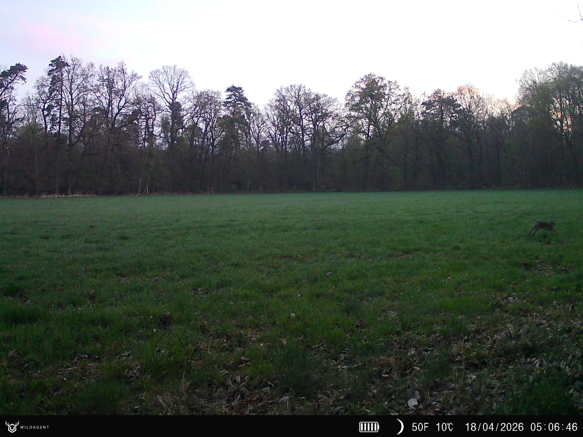 Wildtier 18.04.2026 05:06