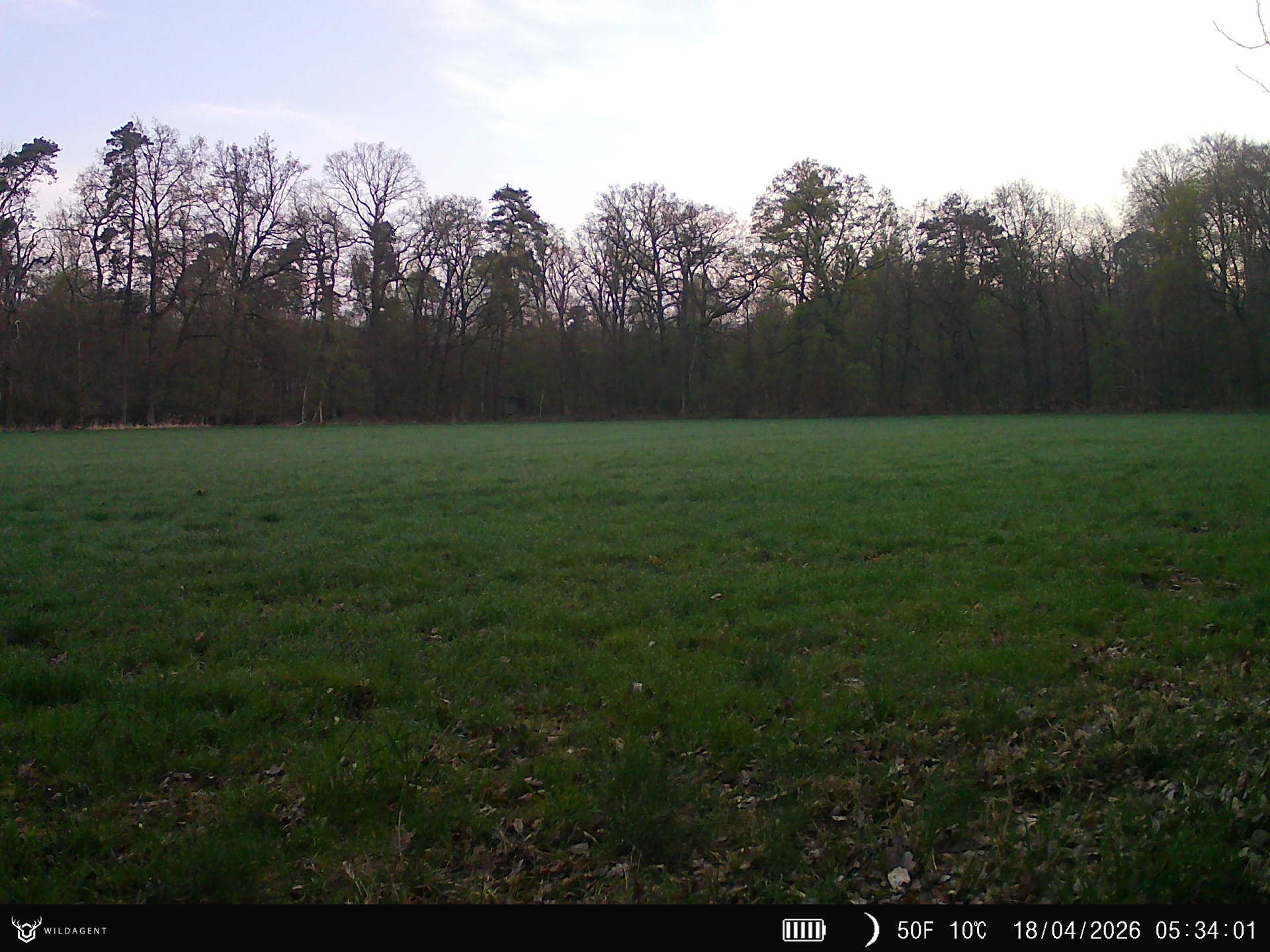 Wildtier 18.04.2026 05:34