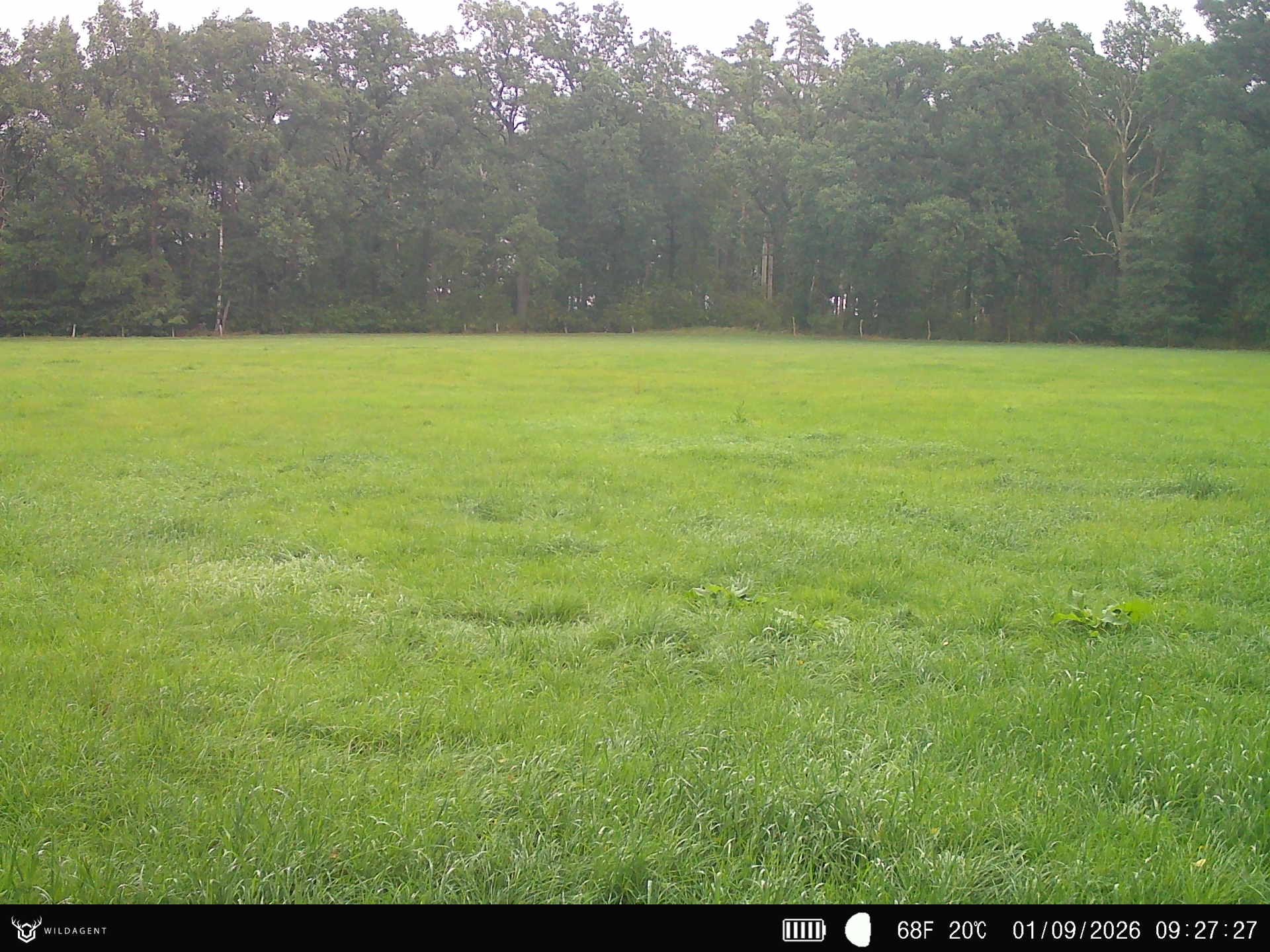 Wildtier 01.09.2026 09:27