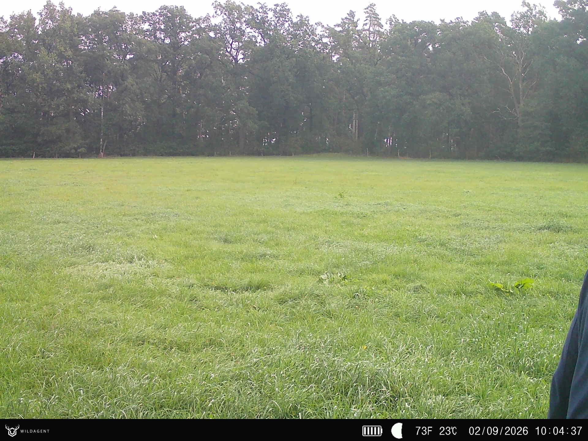 Wildtier 02.09.2026 10:04