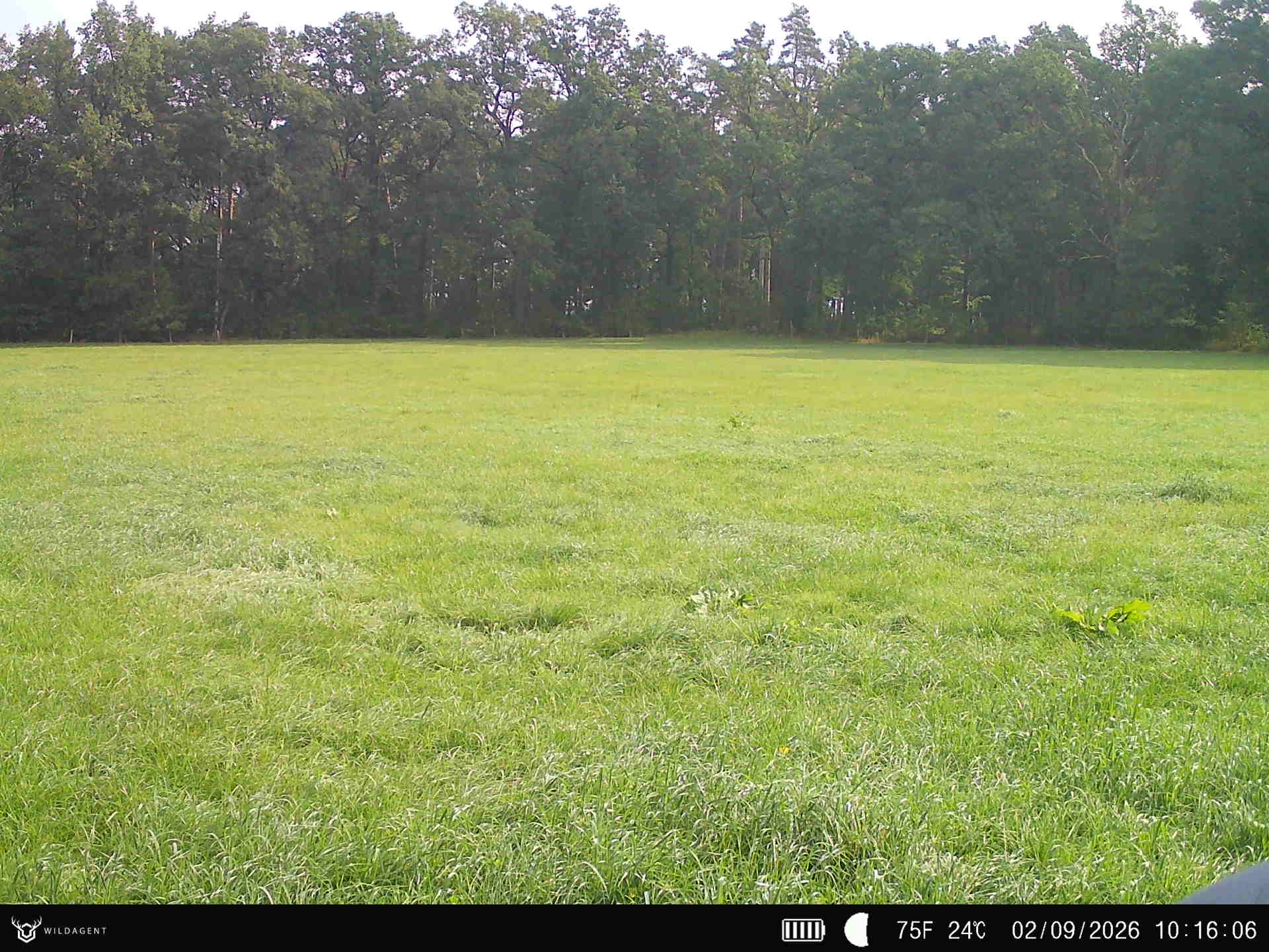 Wildtier 02.09.2026 10:16