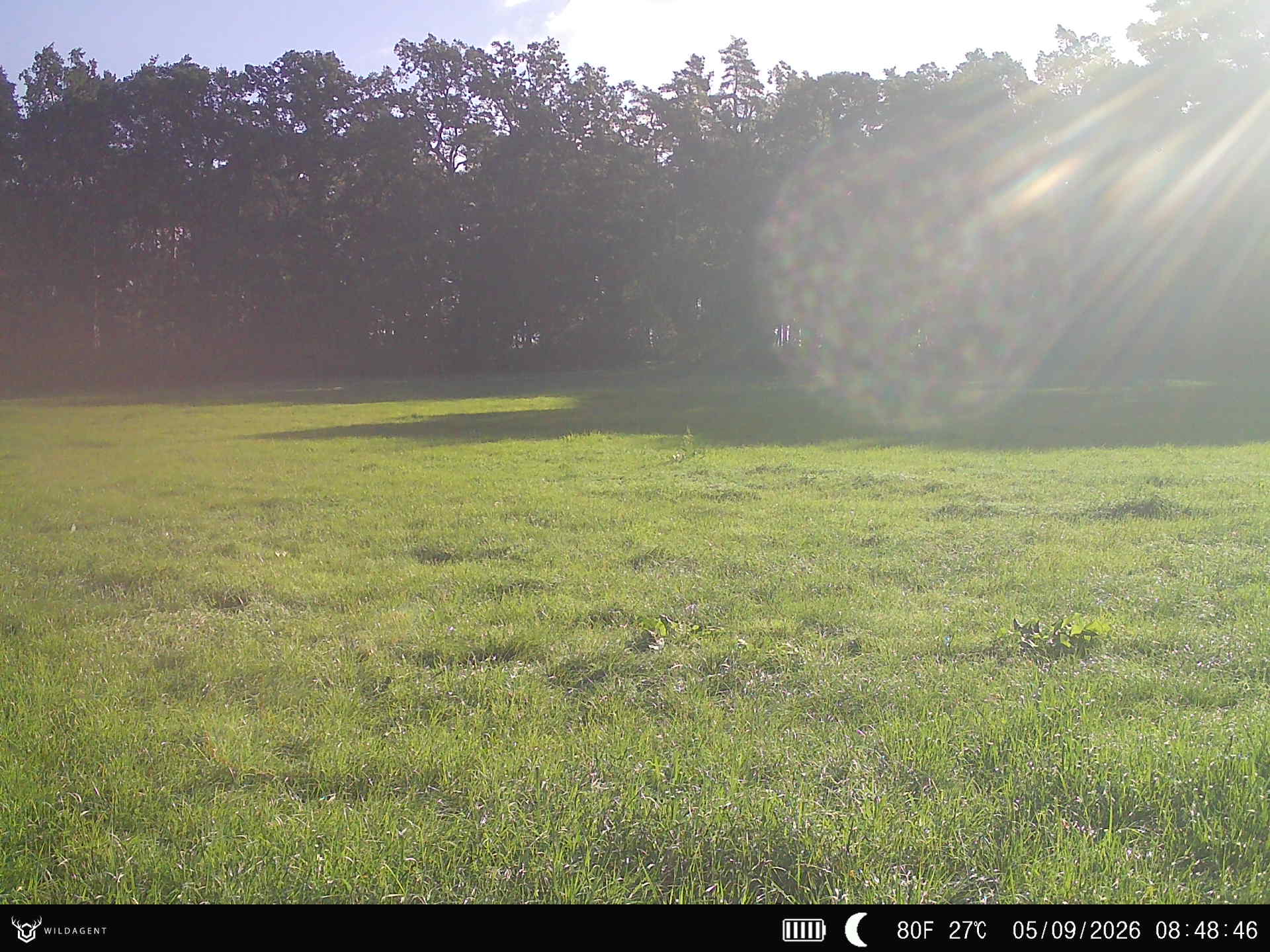 Wildtier 05.09.2026 08:48