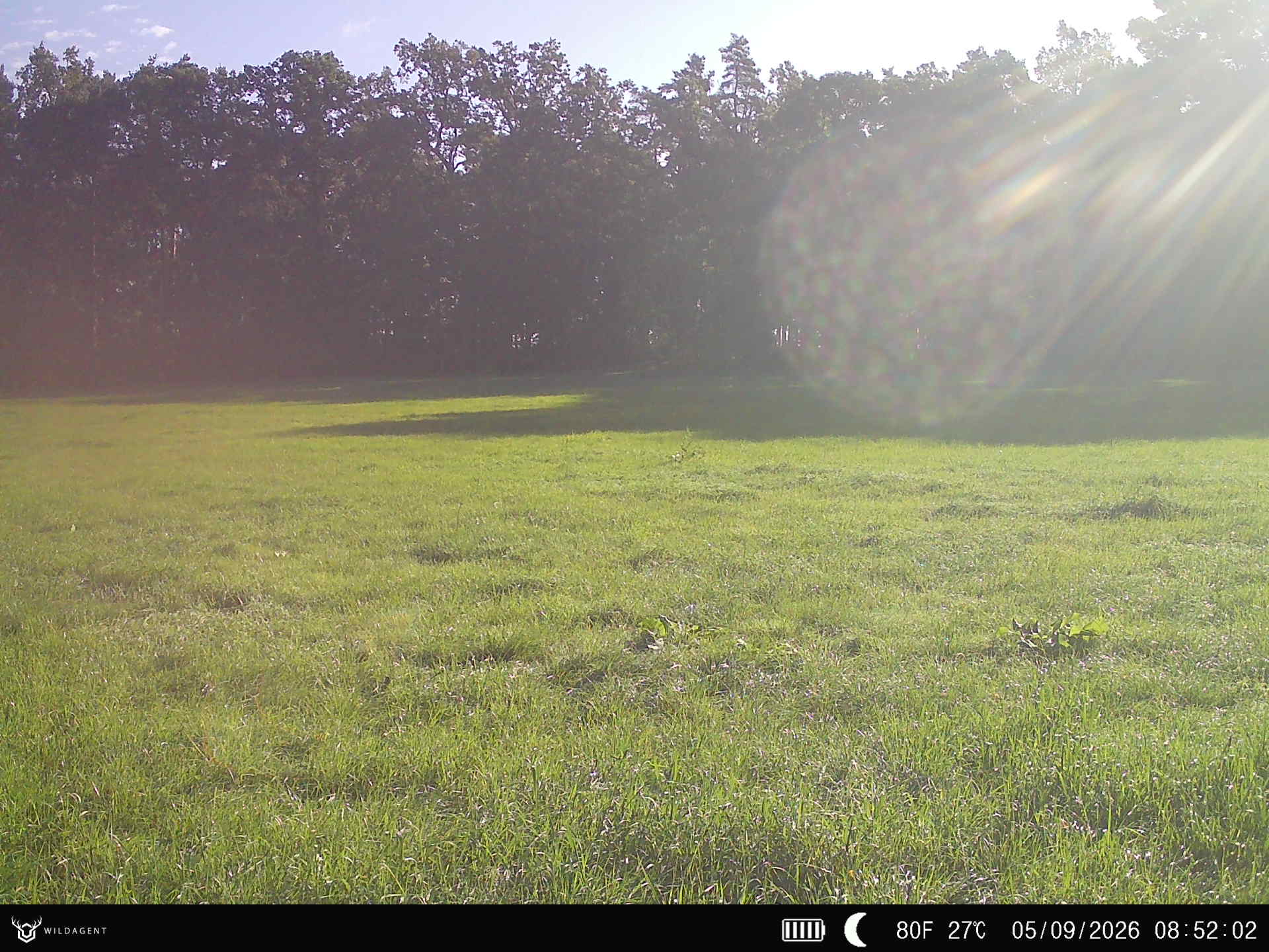 Wildtier 05.09.2026 08:52