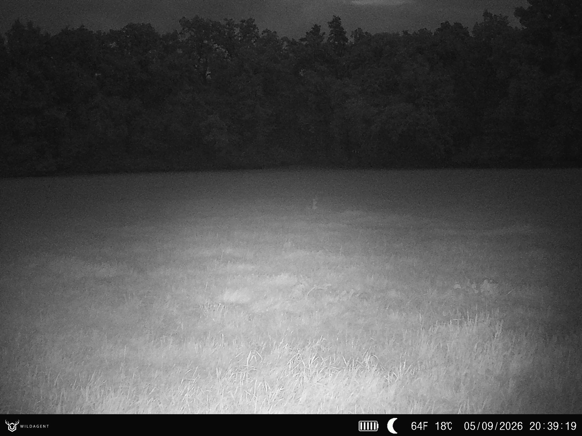 Wildtier 05.09.2026 20:39