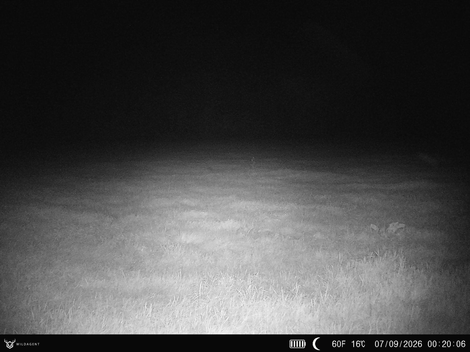 Wildtier 07.09.2026 00:20