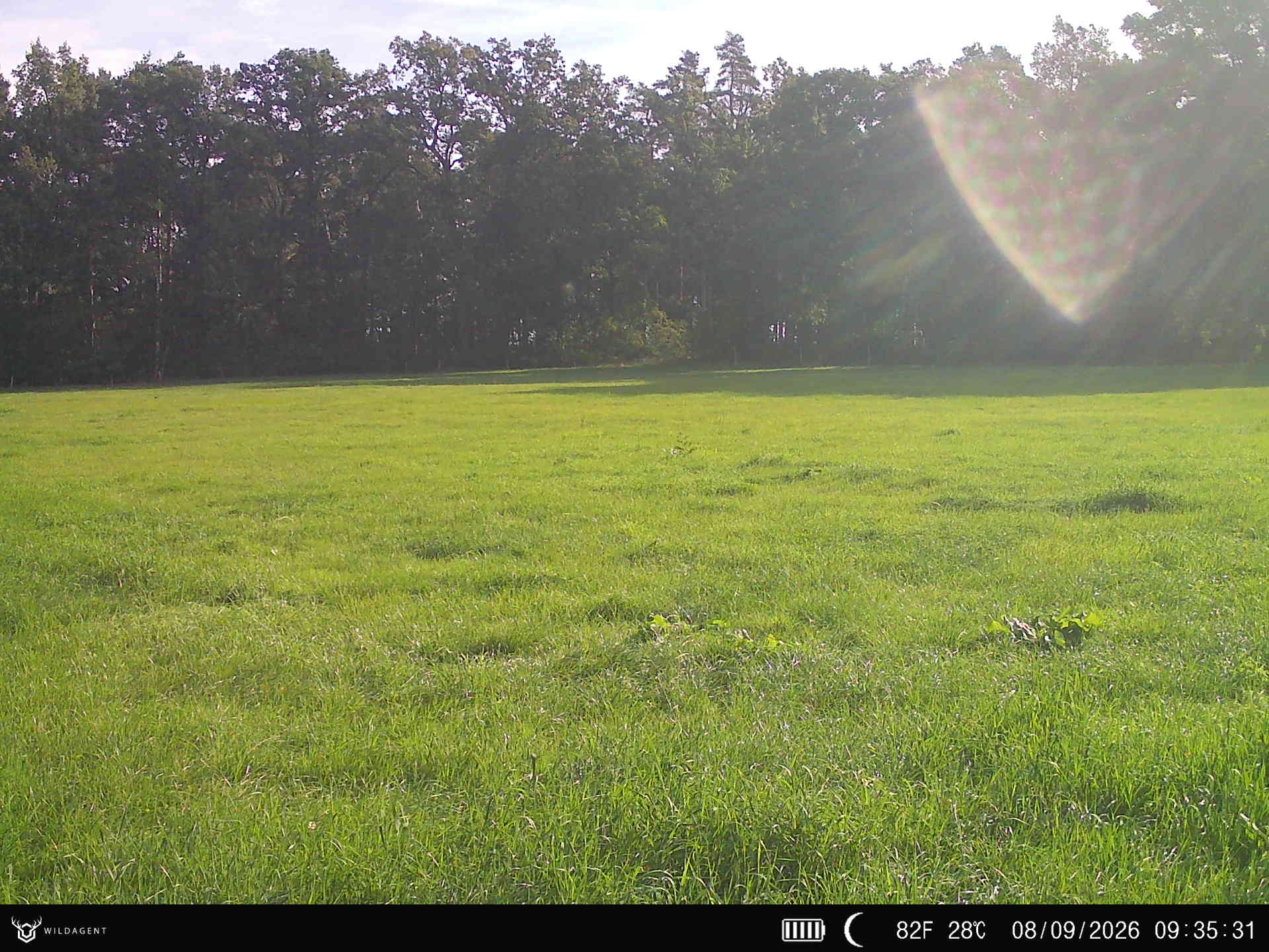 Wildtier 08.09.2026 09:35