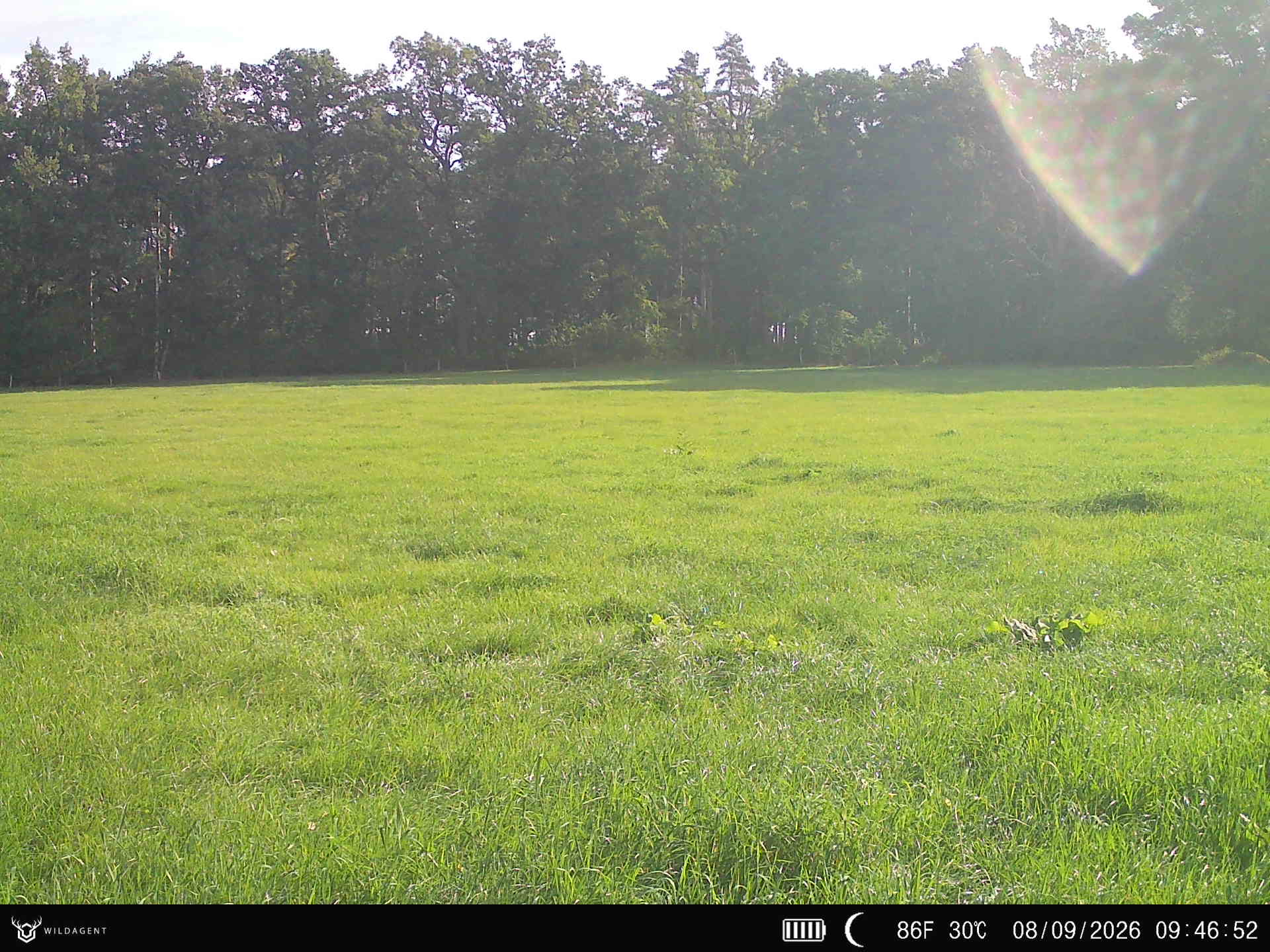 Wildtier 08.09.2026 09:46