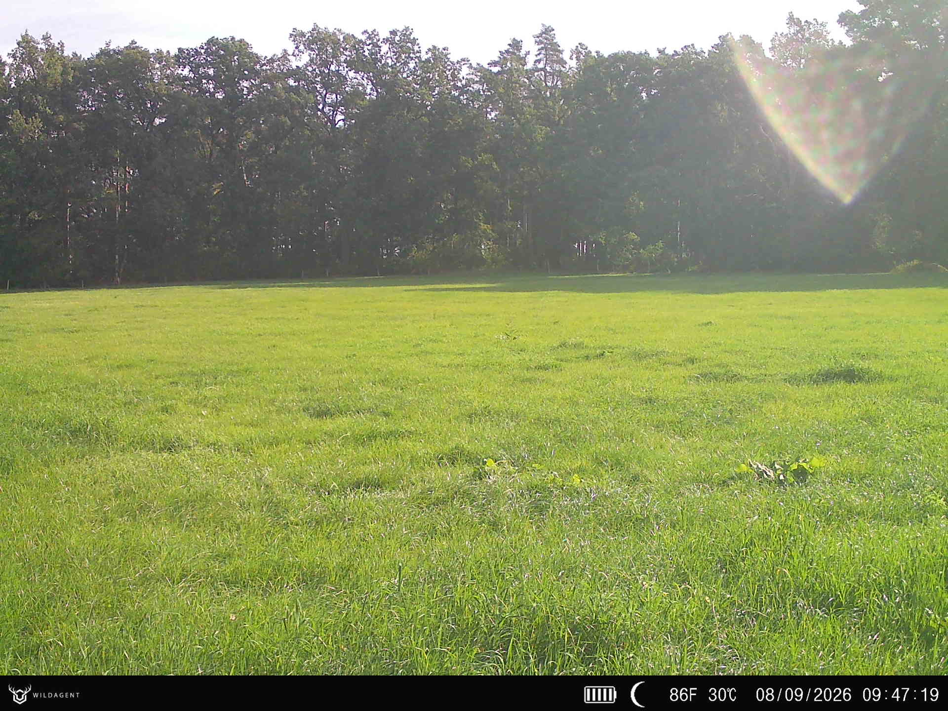 Wildtier 08.09.2026 09:47
