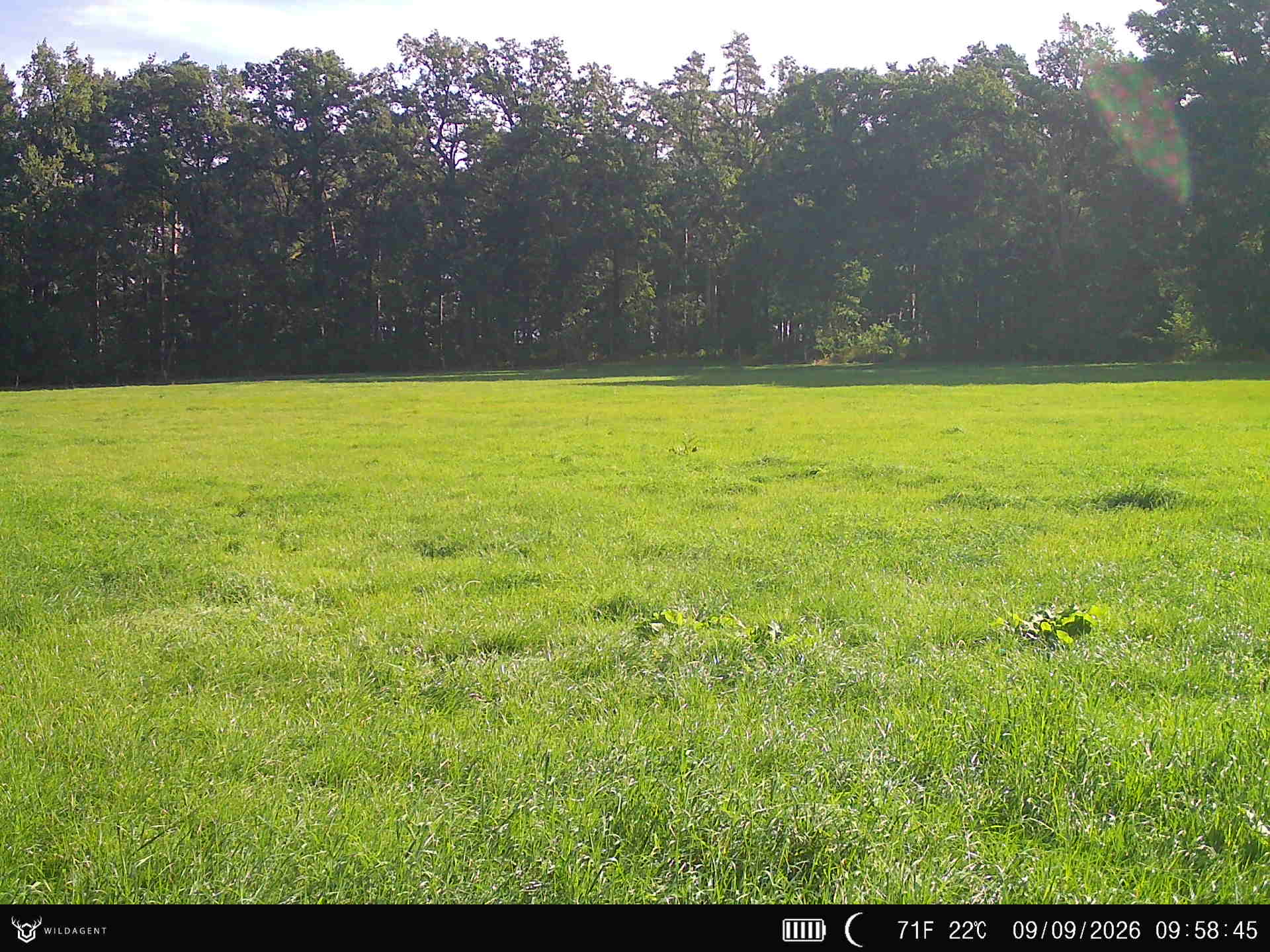 Wildtier 09.09.2026 09:58