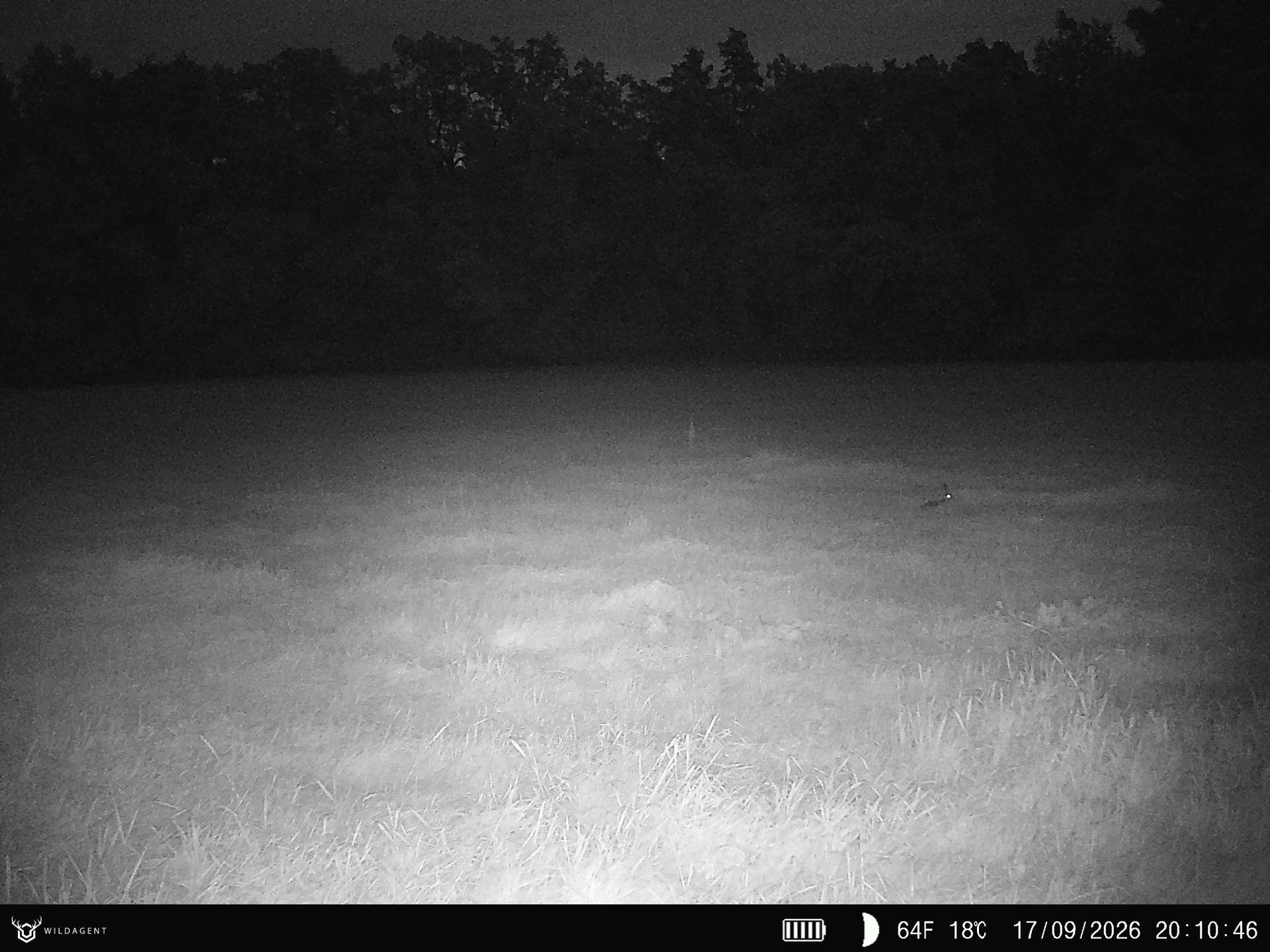 Wildtier 17.09.2026 20:10