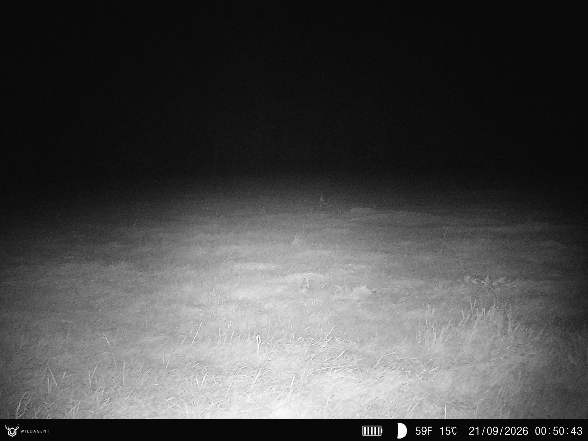Wildtier 21.09.2026 00:50