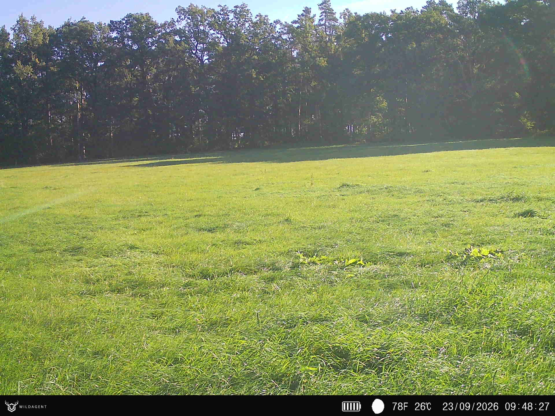 Wildtier 23.09.2026 09:48